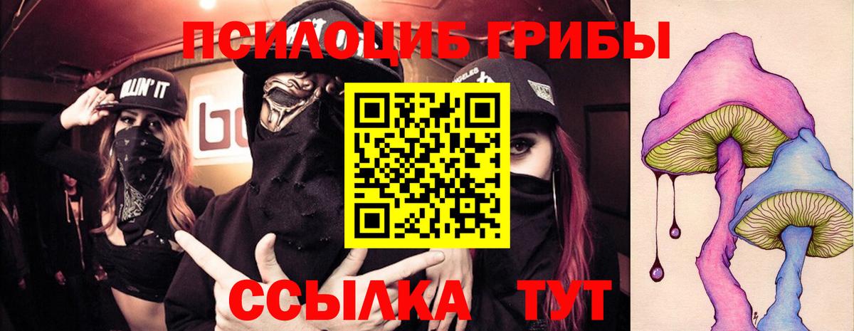 Галлюциногенные грибы GOLDEN TEACHER  продажа наркотиков  Феодосия  Вход с VPN 