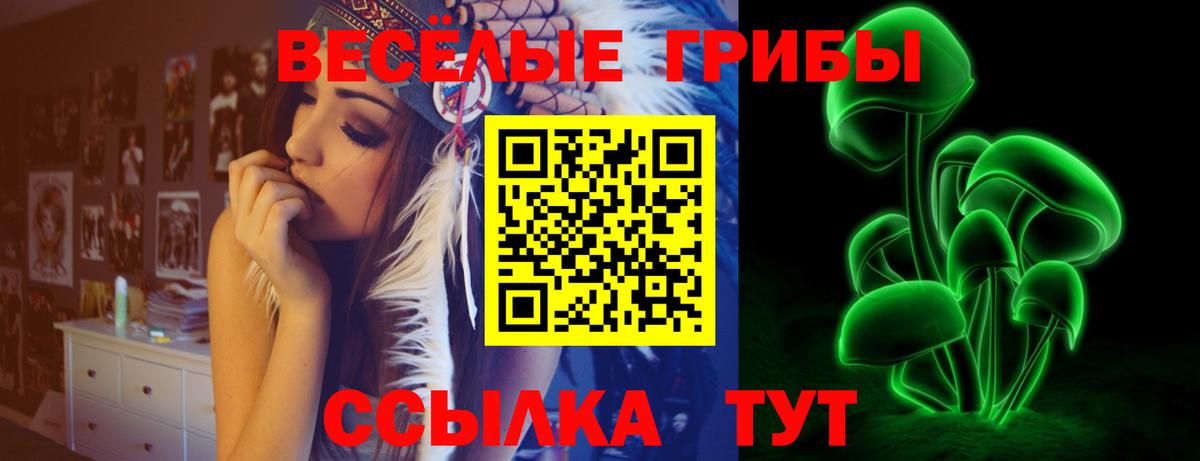 Псилоцибиновые грибы Psilocybine cubensis Феодосия